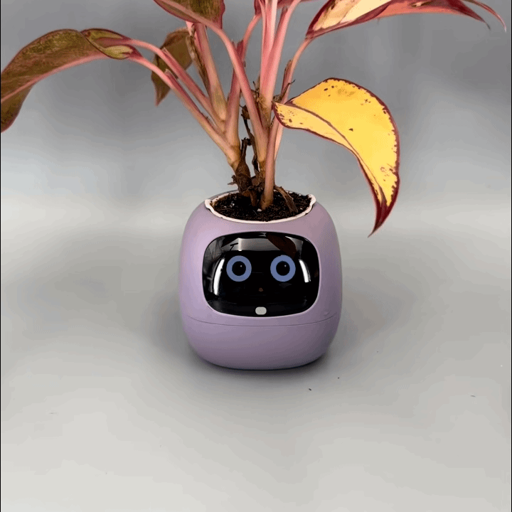 Sproutie planter digital face