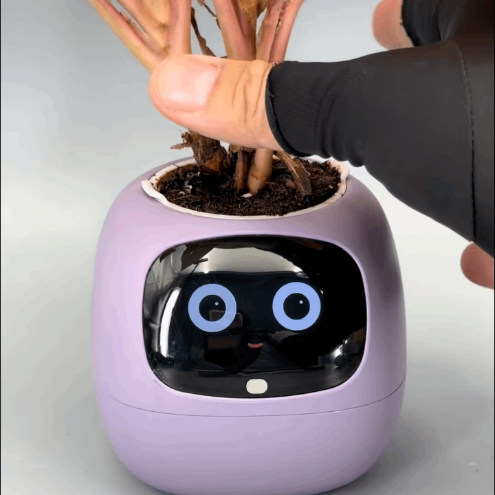 Sproutie in a cozy home setting
